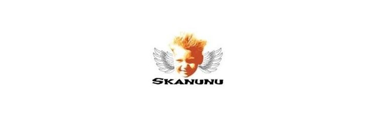SKANUNU MOTORLINE | Limpieza y Mantenimiento Rodamientos | Kaina Skateshop